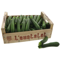 COURGETTE VERTE OUSTALET 9KG